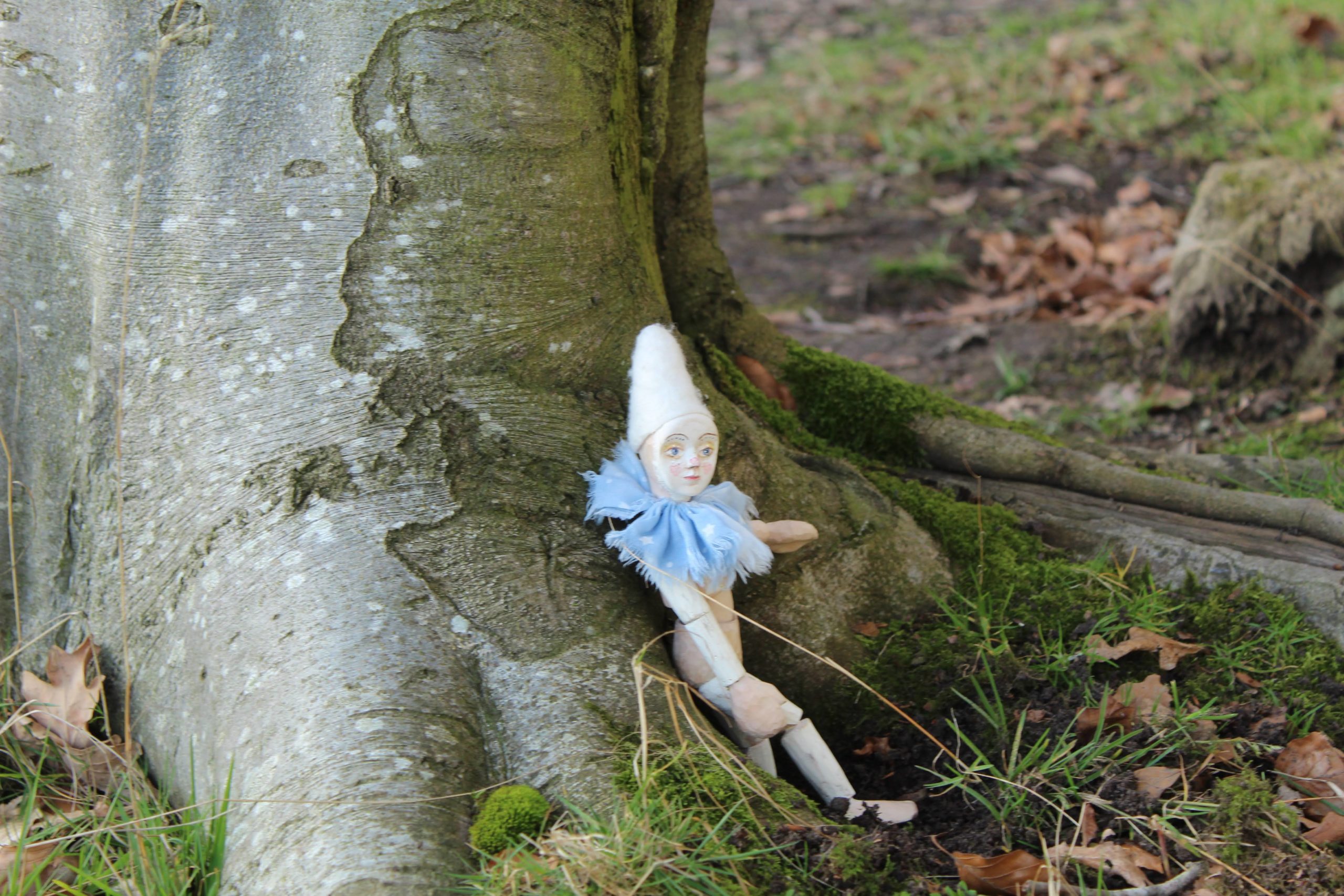 Maurice a wooden BJD