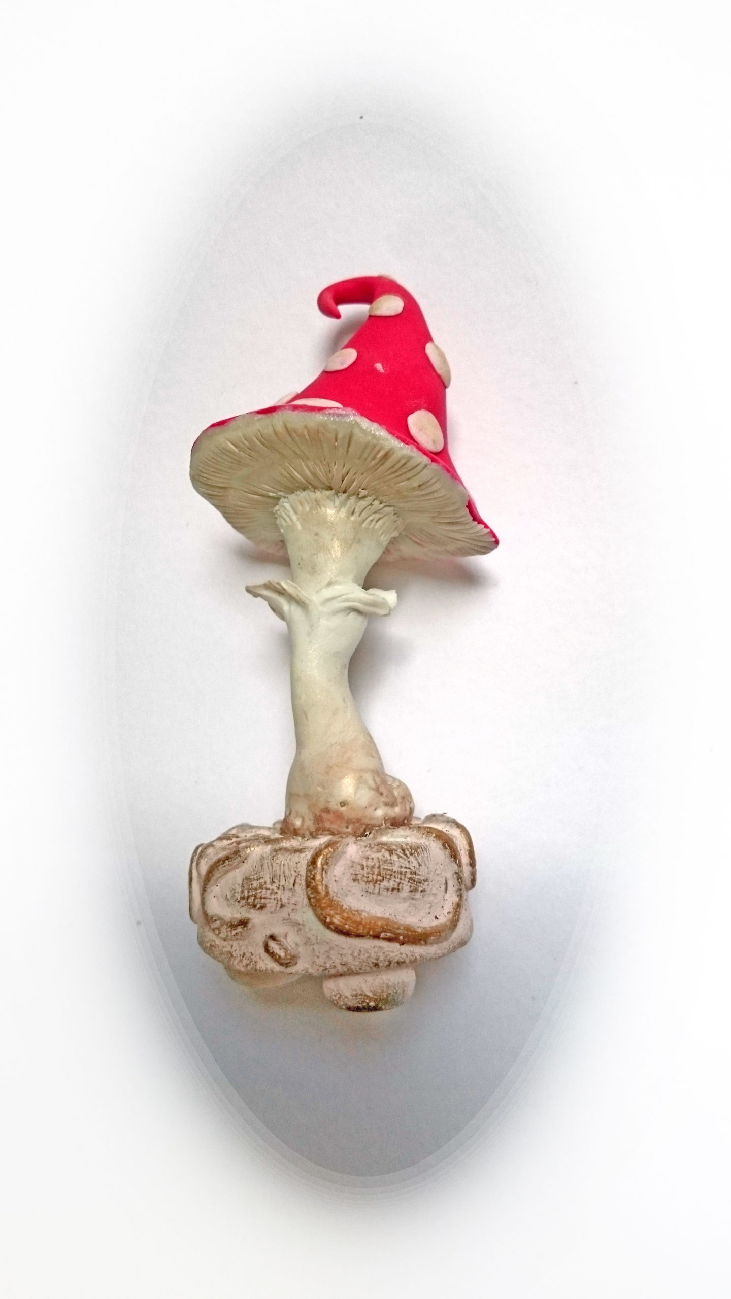 A mushroom from Wonderland