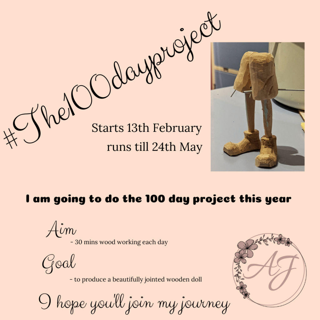 100 day project 