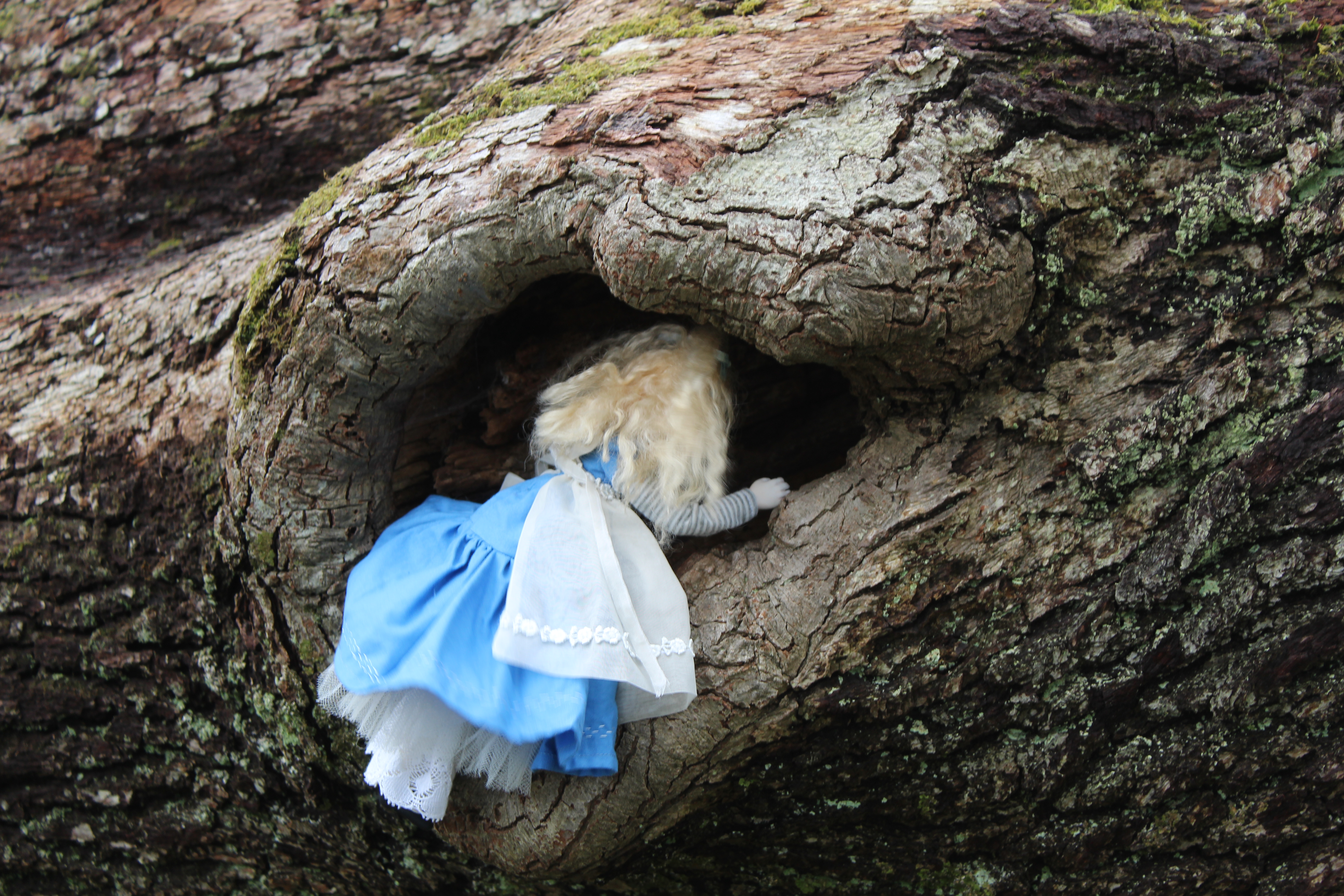 Alice looking into an interesting looking hole