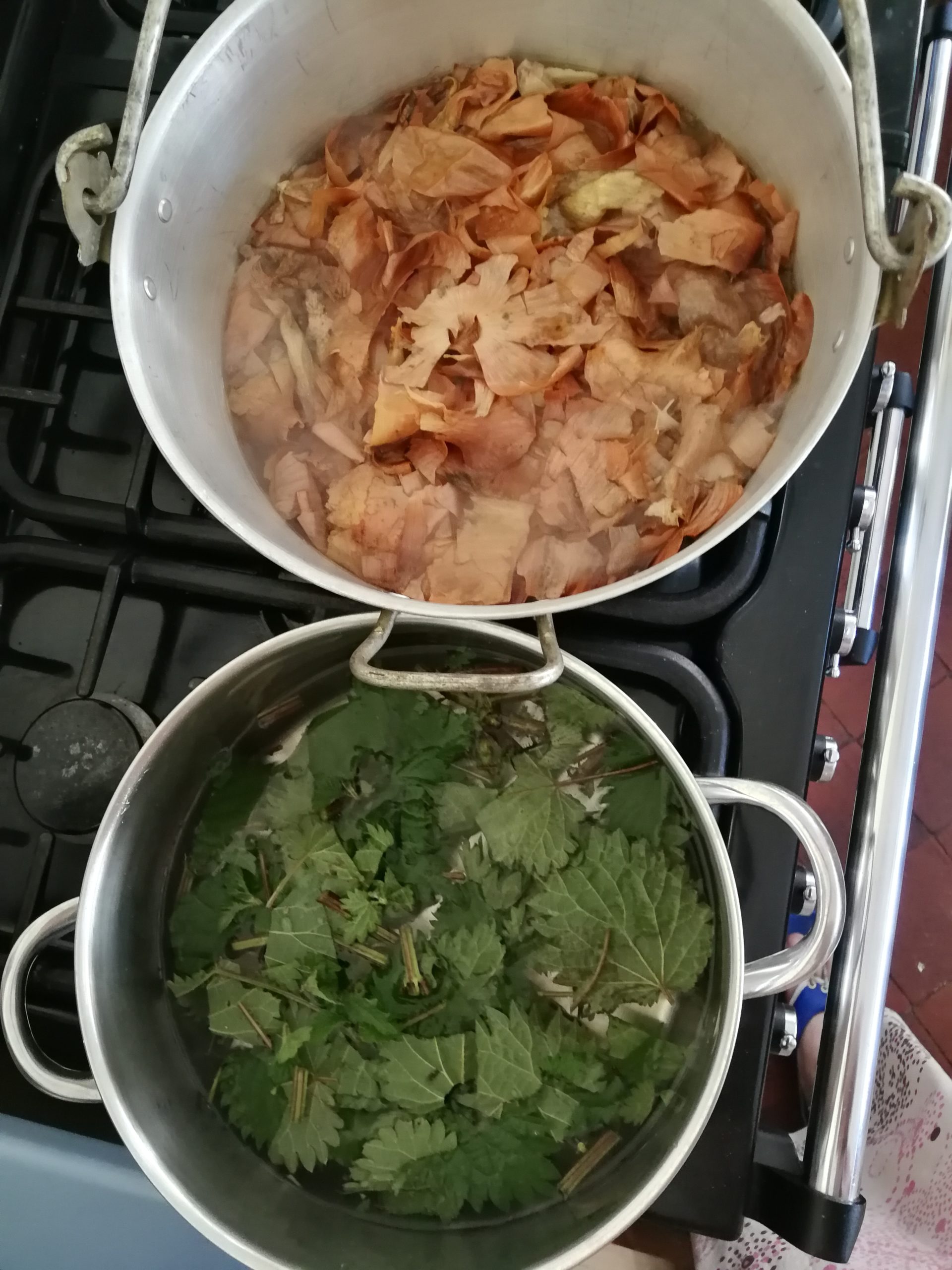 pans of onions and nettles for dying