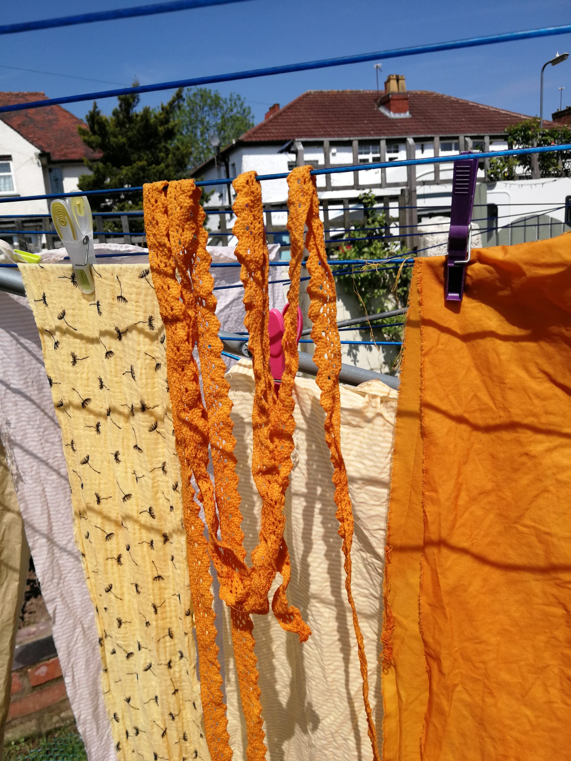 onion colours drying 