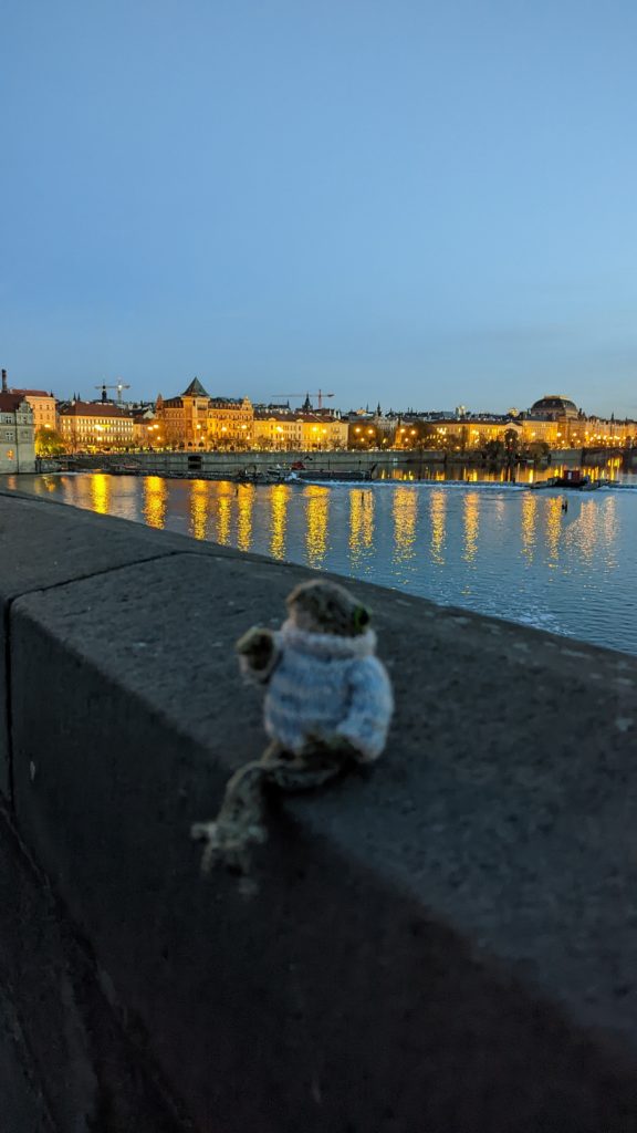 Froggie enjoying the view from Charles Bridge, Prague